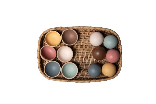 Birch Colour Sorting Set (B0D6VYQYBJ) Amazon Price History, Amazon Price Tracker