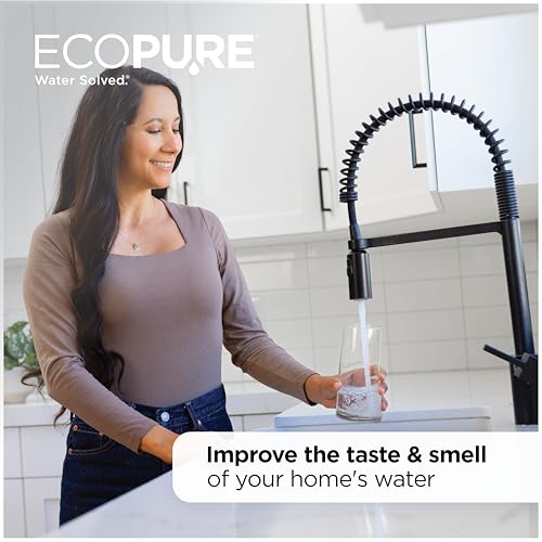 Image of EcoPure EPW2C Carbon Whole Home Replacement Water Filter-Universal Fits Most Major Brand Systems (4 Pack), 2 Count (Pack of 2), Light Gray /Black
