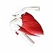 Anatomical Advanced Muscled Shoulder Joint Model Medical Anatomy Skeleton