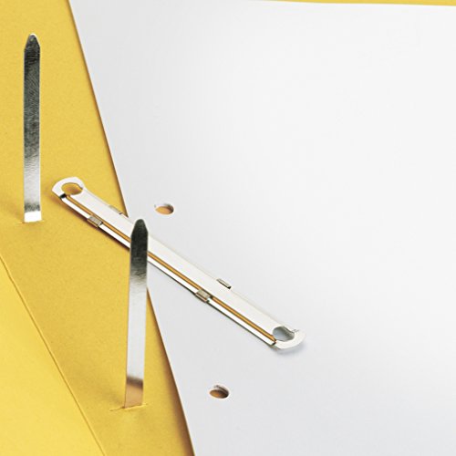 Rapesco FC020850 2-Loch Papierklemmen, 50 Stück