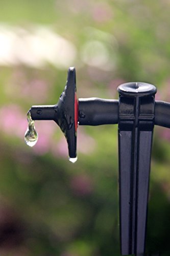 Goutteur 5 GPH Compensation de Pression Mld-.5pc pour un débit d'eau régulier constant - 3