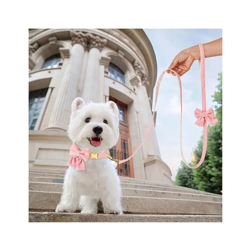 Collier et laisse pour chiot en velours jaune de qualité - 5