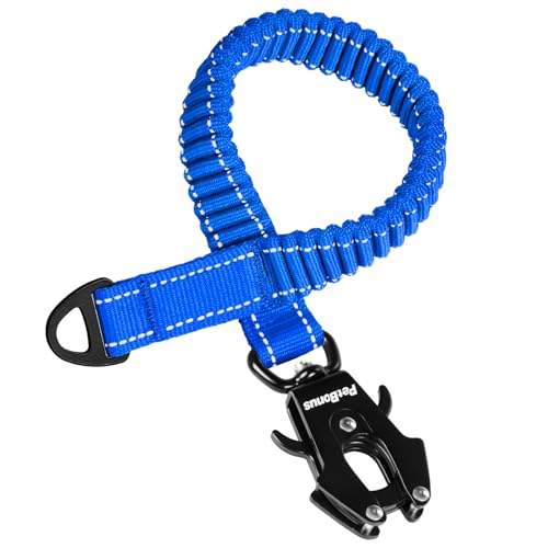 PetBonus Extension de Laisse élastique pour Chien, 45cm Absorption des Chocs, Attachement de Laisse Adapté aux Chiens Moyens et Grands, Extenseur...
