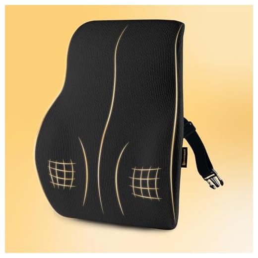 betterhood PosturePro Premium Back Support Cushion for Office Chair and Car Seat | High Density 100% Memory Foam, Cotton Cover | Large Size | Orthopedic Ergonomic Lumbar Backrest for Back Pain (Black)