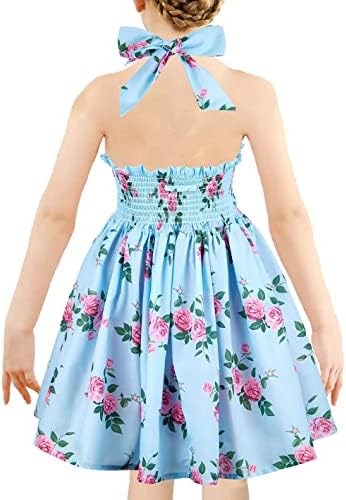 Girls' 2T-12 Cotton Sleeveless Basic Dress Floral Print Casual Sundress (2T, 2103Blue)