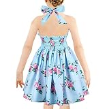 Girls' 2T-12 Cotton Sleeveless Basic Dress Floral Print Casual Sundress (2T, 2103Blue)