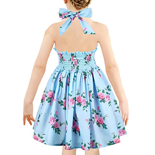 Girls' 2T-12 Cotton Sleeveless Basic Dress Floral Print Casual Sundress (2T, 2103Blue) #TOP1