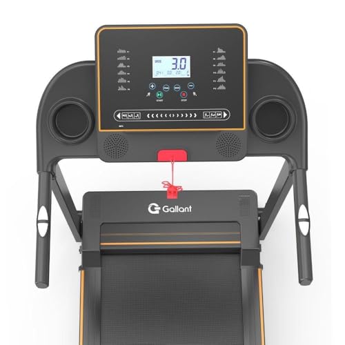 Esteira Ergométrica Elétrica Gallant Trainer 1,9hp 10km/h 100kg 220v (GEE10)