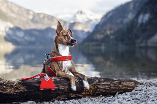 Coralpina Cane Porta Sacchetti Igienici Zainello 5Torri Nero/Grigio - 2
