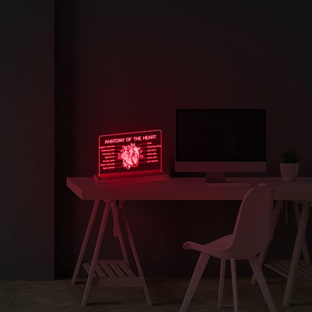 The Geeky Days Human Heart Diagram 3D Optical Illusion LED Lamp Remote Control Multi Color Cardiology Indicator Desktop Light Cardiologist Gift Cardiology Department Hospital Decor(White)