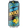 Buy Hooch Fridge Pack – 12x 440ml Vodka & Fruit Juice Cans, 3.4% ABV – Refresh Your Moments – Hooper's Hooch