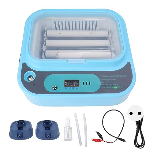 Incubadora de Ovos, 6 Ovos Controle Preciso de Temperatura Máquina de Incubação de Aves Fonte de Ali