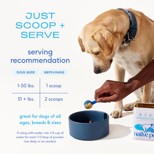 Image of Native Pet Probiotics for Dogs - Dog Probiotic Powder for Gut & Digestive Health, Vet-Formulated 6B CFUs Dog-Specific Probiotic Strains, Supports Stool Quality & Diet Transitions - 60 Scoops
