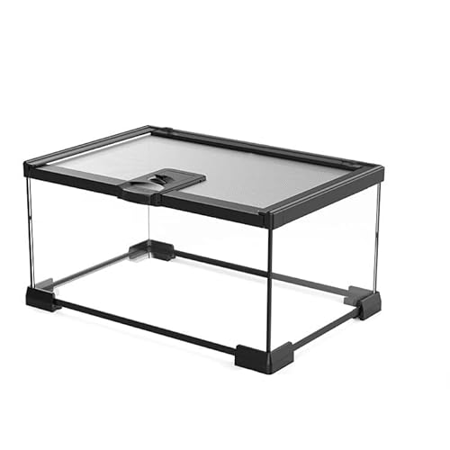 AWXZOM Mini tanque de terrário de vidro para répteis, gaiola para tarântula, lagartixas, lagartos, c
