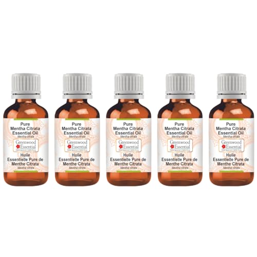 Huile essentielle citrate de menthe pure distillée à la vapeur lot de 500ml