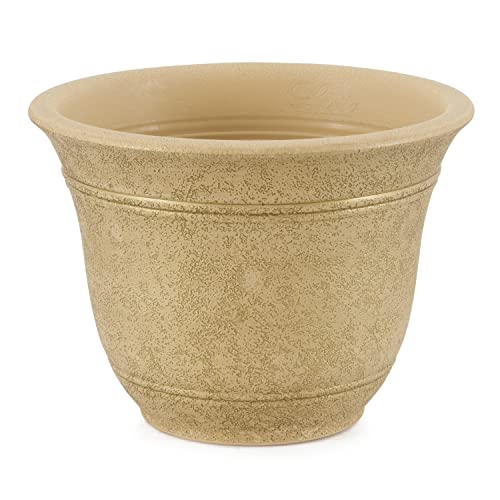 The HC Companies 8 In. Capri Bowl Plastic Indoor Succulent Planter Pot Vanilla Bisque Csb08000a58c020lrdhu Vanilla