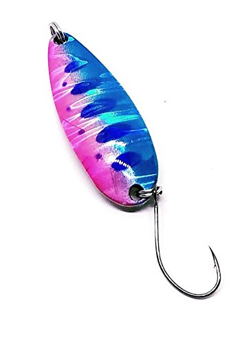 FromkC k Xv[ Brighton(uCg) y{z (05/BPY(us}), 6g)