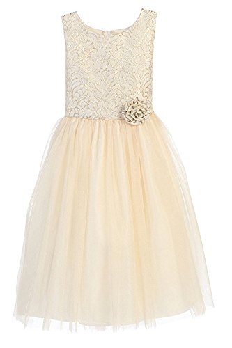 iGirlDress Vintage Jacquard Tulle Junior Bridesmaid Flower Girl Dress (6mos-12)