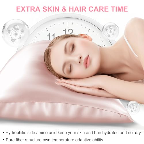 Mulberry Silk Pillow Cases 2 Pack Queen Size 20x30 Inches with Hidden Zipper, Ultra Smooth and Soft Breathable Cooling Silk Satin Pillowcase Set of 2, Better for Hair and Skin, Gifts for Women Men