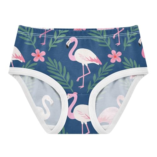 Briefs Panties Organic Underpants for Toddler Girls in Sizes 2T,3T, 4T, 5T, 6Y and 8Y