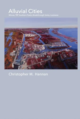 Alluvial Cities view 2