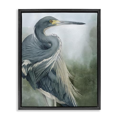 Bayou King Bird Vintage Nature, 25 x 31 Inch Canvas in Floater Frame
