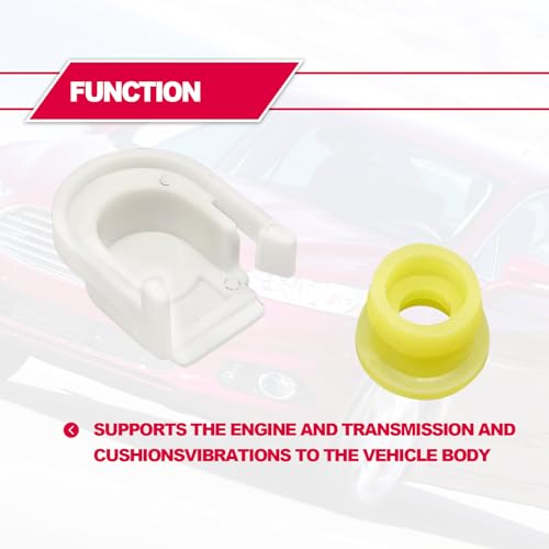 Cuidado Para El Cabello, Video On Demand Imagen adicional