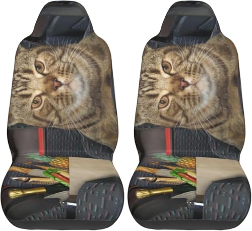 猫 猫柄 ねこ おもしろ クール カーシートカバー 2枚セット 前席用 軽 防汚 気性 洗える 普通車 適用 フロント 軽自動車 シートカバー 背面フルカバー ブラック 運転席 助手席 車用 シート カバー アニメ グッズ キャラクター