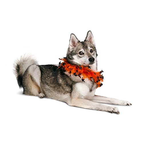 Collar Disfraz de Bruja para Perro Halloween Mediano miniatura 7