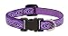 LupinePet Originals 1/2" Jelly Roll 10-16" Adjustable Collar for Small Dogs