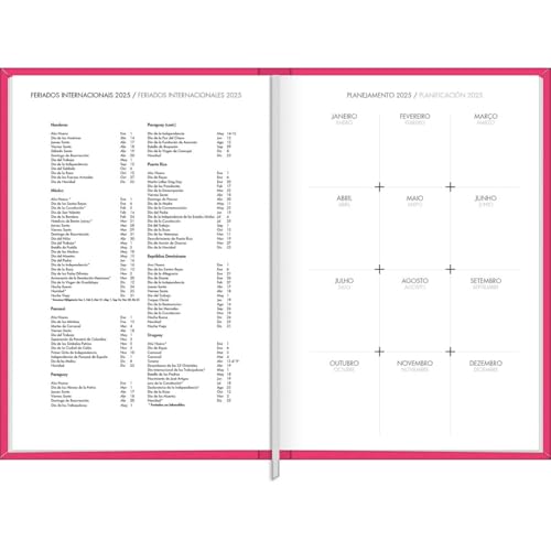 Tilibra - Agenda Executiva Costurada Diária 13,4 x 19,2 cm Napoli Feminina 2025 - Rosa