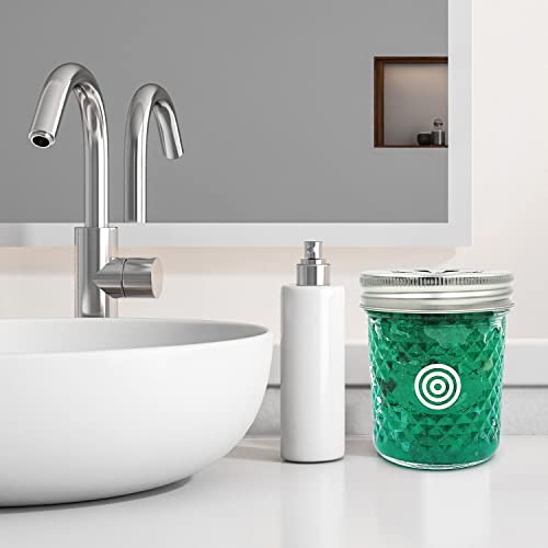 Viois, Eucalyptus Car Air Freshener(Gel Type). Handcrafted Natural Air Freshener For Car And Small Room. Chemical Free & Non Toxic. #TOP2