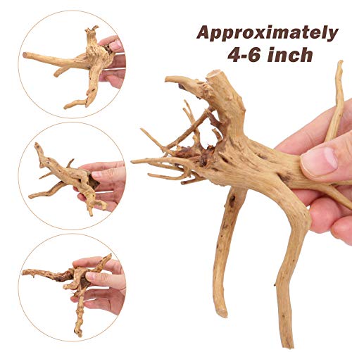 image for SERJOOC 6Pcs Aquarium Driftwood Spider Wood Ornament for Fish Tank Nat