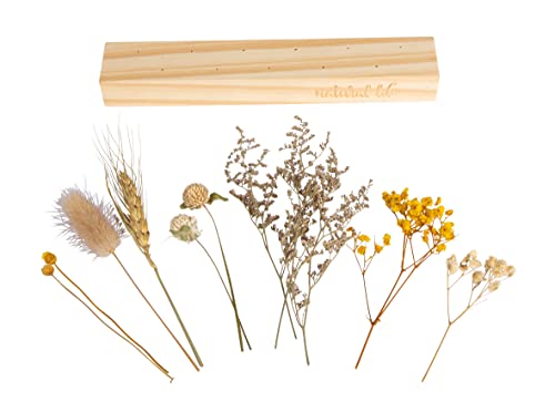 Rayher Wooden Display Stand for Dried Flowers DIY Dried Flower Display, natural wood, 22.7x4x17cm, 64524000 - Image 2