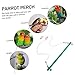 POPETPOP 1pc Creative Parrot Swing Toy Ladder Design Chewing Rack for Birds and Beads for Home Office and Pet Shops