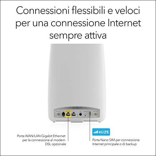 Netgear LBR20 Router - Router - Immagine 4