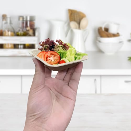 Bols en feuille de palmier compostables et solides pour repas - 6