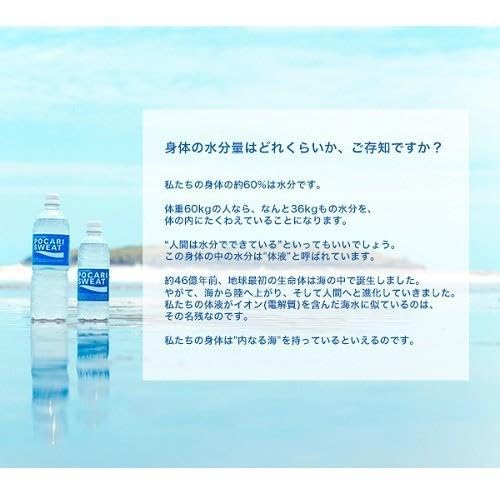 Amazon.co.jp: ポカリスエットパウダー(粉末) 10L用 【x3個】 : 食品