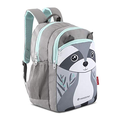 racoon backpack