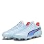 Silver Sky Puma Black Fire Orchid
