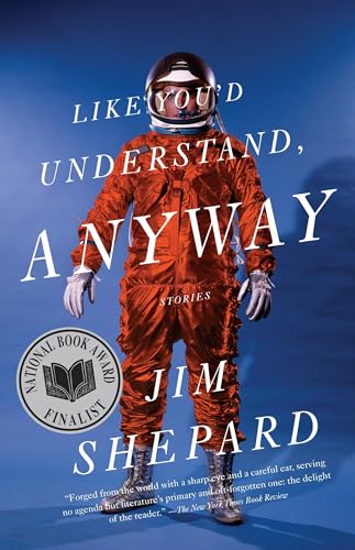 Like You'd Understand, Anyway (Vintage Contemporaries)