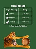 Dr. Flex Hundeleckerli Probiotika für Hunde 60 Soft-Chews mit Kolostrum, Bierhefe, Lachsöl, Cichorée, Enterococcus faecium für Verdauung, gesunde Darmflora Hund, Immunsystem und Wohlbefinden