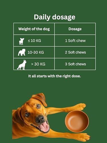Dr. Flex Hundeleckerli Probiotika für Hunde 60 Soft-Chews mit Kolostrum, Bierhefe, Lachsöl, Cichorée, Enterococcus faecium für Verdauung, gesunde Darmflora Hund, Immunsystem und Wohlbefinden