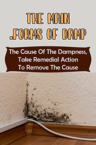 The Main Forms Of Damp: The Cause Of The Dampness, Take Remedial Action To Remove The Cause (English Edition)