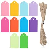 SallyFashion 100 PCS Gift Tags with String Attached, 1.7x2.8 inch Colored Gift Tags for Presents DIY Crafts Clothes Holiday Wedding Party Favors
