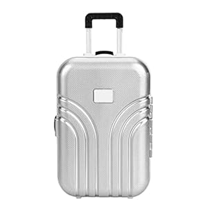 Reisekoffer für Puppen | Mini Trolley mit Verschluss | Spielzeug | Trolley | Spielzeug | (Silber) Wakects