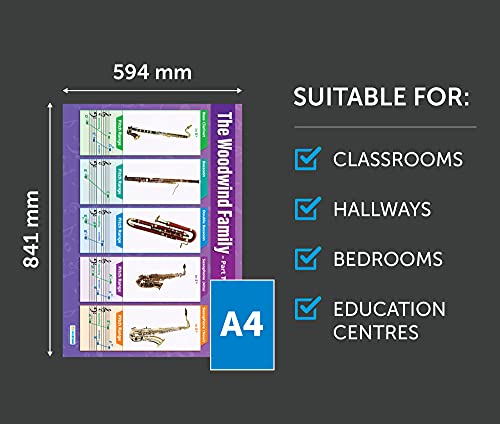 Daydream Education Woodwind Instruments (2) Music Classroom Poster - EXTRA LARGE 33” x 23.5” - Laminated - Music Middle & High School Class Decoration - Wall Charts