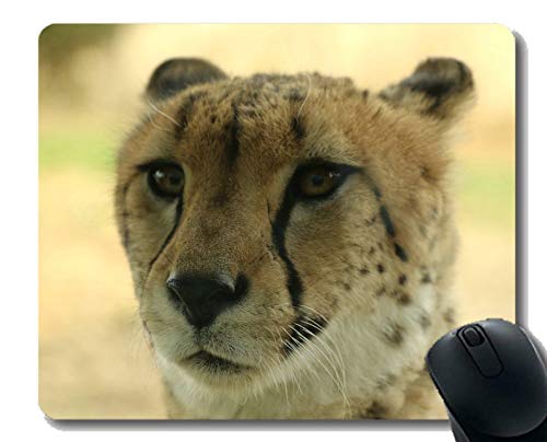 Yanteng Almohadilla para ratón, Leopardo, Frontal, audaz, Antideslizante, Goma Antideslizante