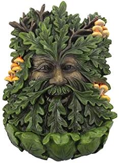 Nemesis Now D4267M8 Elderwood Wall Plaque 19cm Green, Polyresin, 23.8cm