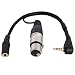 LyxPro XLR Female to TRRS, Connects Professional XLR Microphones to iOS, iPhone, iPad, and iPod Includes Output for Headphones, Small (10 Inches)